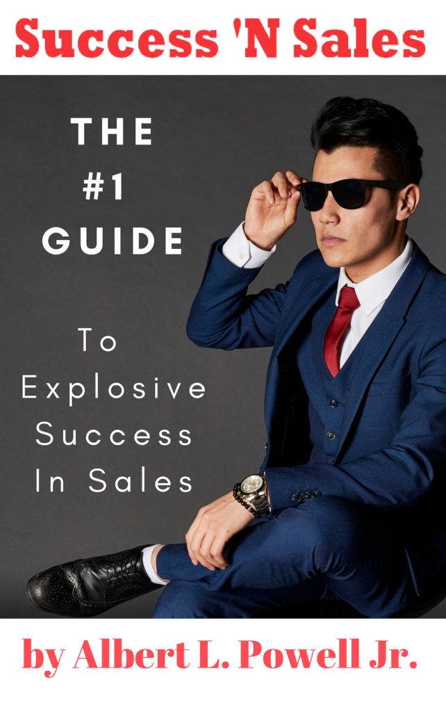 Success 'N Sales e-book - The #1 Guide To Explosive Success In Sales